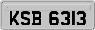 KSB6313