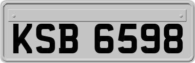 KSB6598