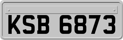 KSB6873