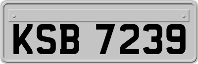 KSB7239