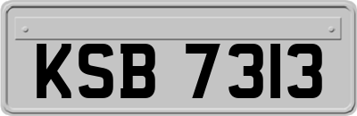 KSB7313