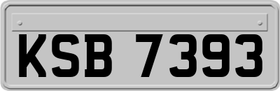 KSB7393