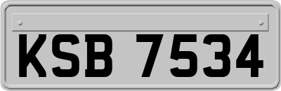KSB7534