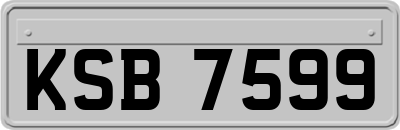 KSB7599
