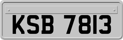 KSB7813