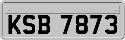 KSB7873