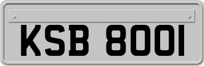 KSB8001