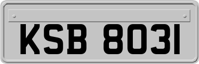 KSB8031