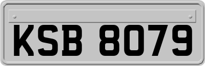 KSB8079