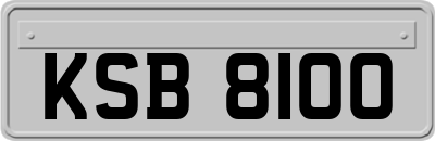 KSB8100