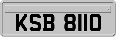 KSB8110