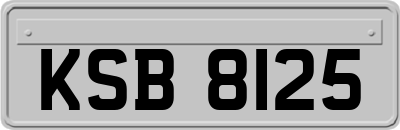 KSB8125