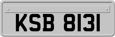 KSB8131