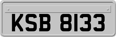 KSB8133