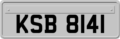 KSB8141