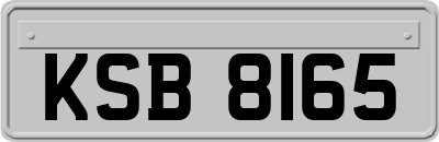KSB8165