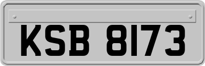 KSB8173