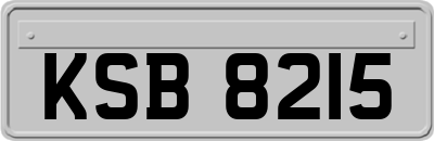 KSB8215