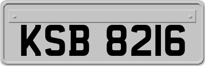 KSB8216