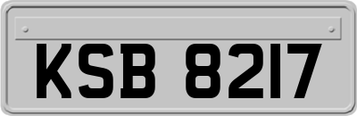 KSB8217