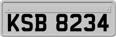 KSB8234