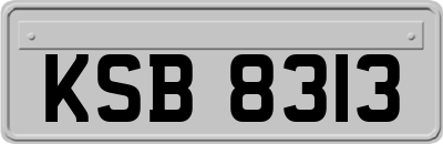 KSB8313