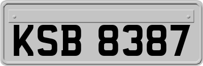 KSB8387