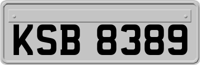KSB8389