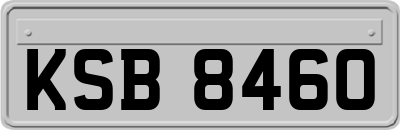 KSB8460