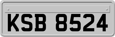 KSB8524