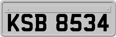 KSB8534