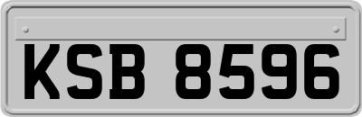 KSB8596