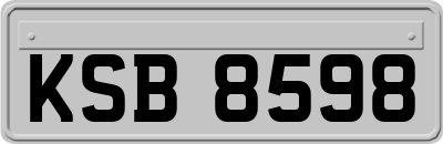 KSB8598