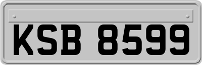 KSB8599