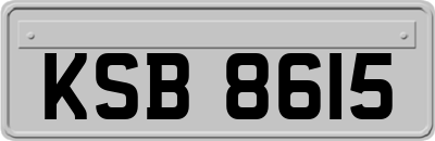 KSB8615