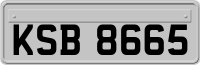 KSB8665