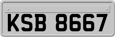 KSB8667