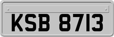 KSB8713