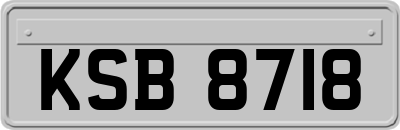 KSB8718