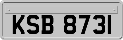 KSB8731