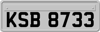 KSB8733