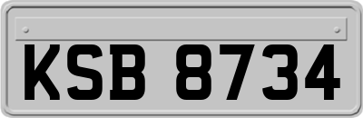 KSB8734