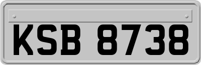 KSB8738