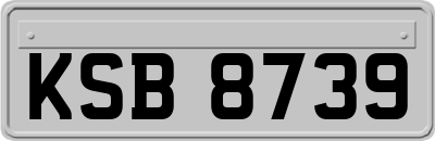 KSB8739