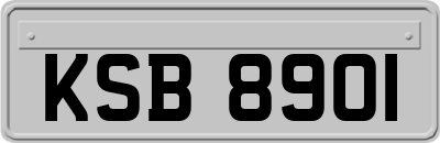 KSB8901