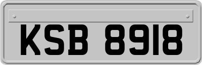 KSB8918