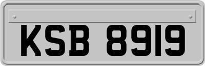 KSB8919
