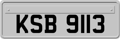 KSB9113