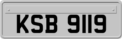 KSB9119