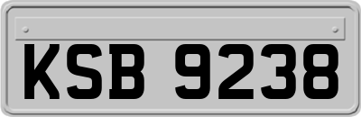 KSB9238